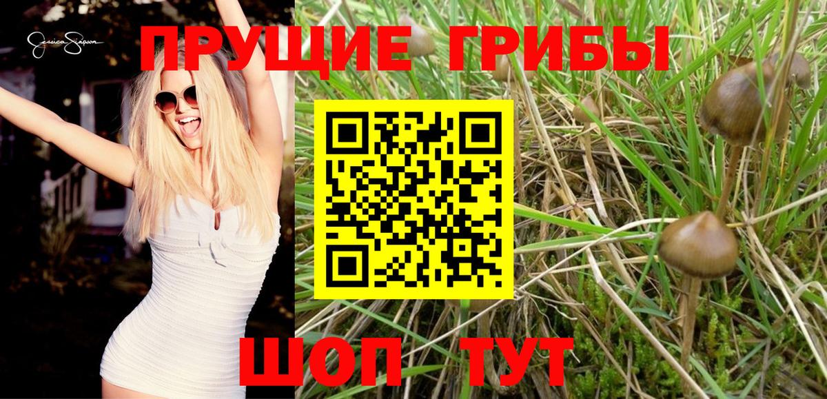 Галлюциногенные грибы GOLDEN TEACHER  Вход с VPN  Батайск  Галлюциногенные грибы ЛСД 